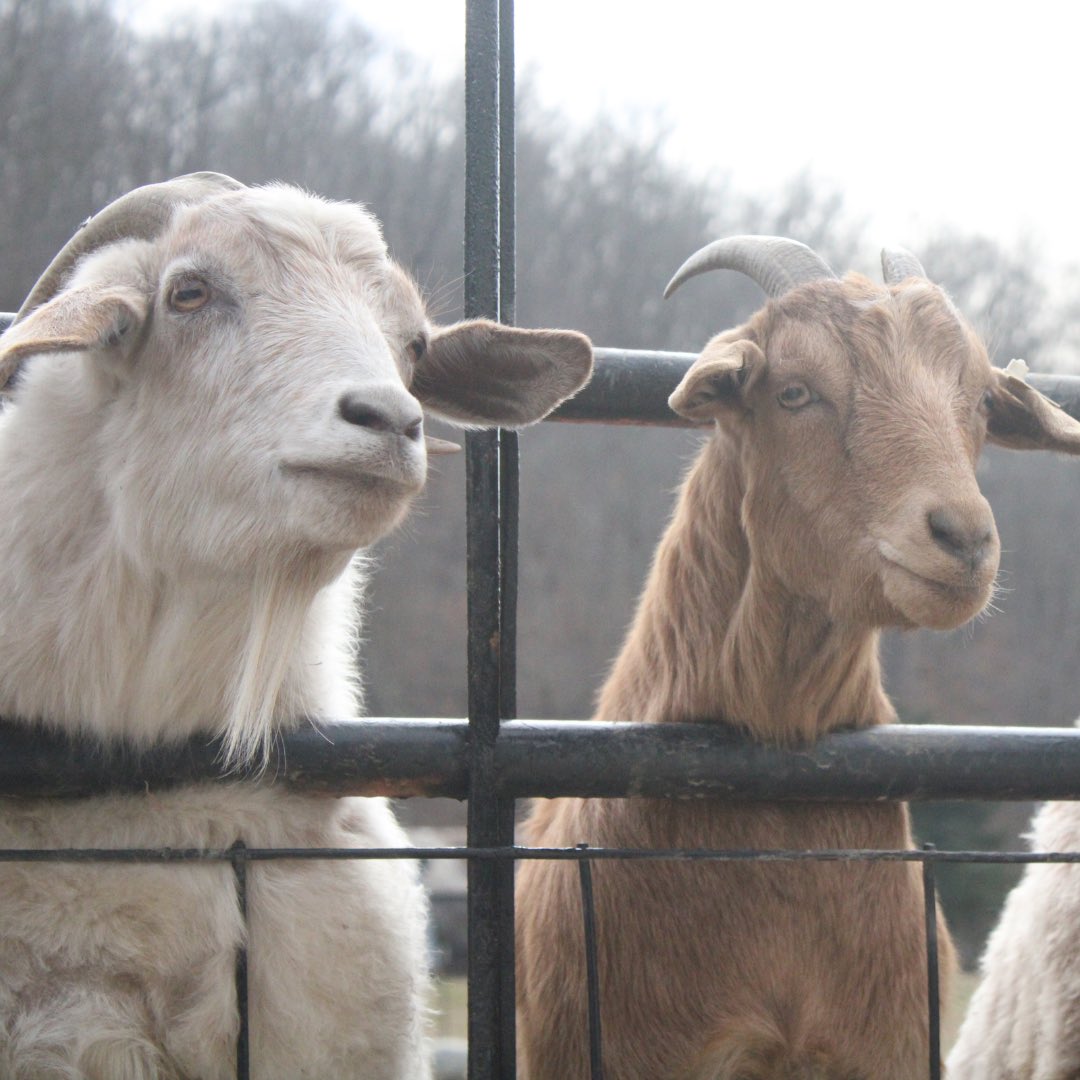 Southeast Ohio Magazine tweet media