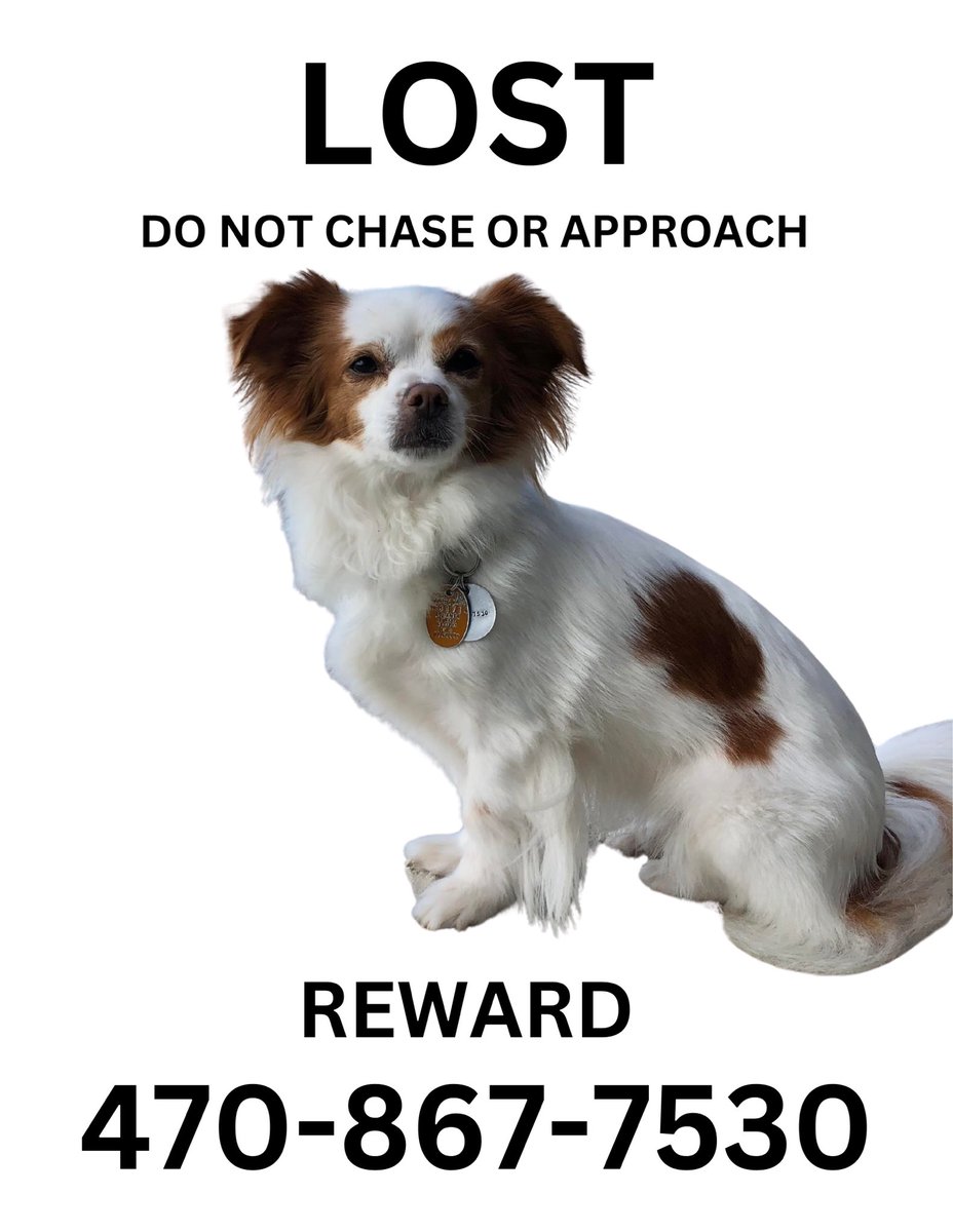 new fliers now saying reward; please keep sharing