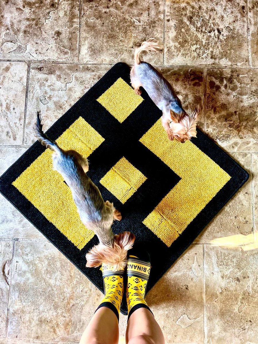 binance's tweet image. &quot;Stand on the #Binance rug if you love crypto&quot;