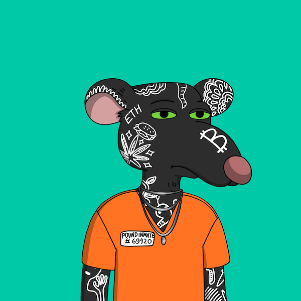 aussienft tweet media