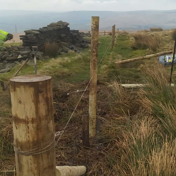 forus_tree's tweet image. Long day in the mist and rain replacing the vandalised fence up at Gorpley after someone thought it would be a great idea to rip out the previous fence and compromised the tree planting area. Sorted now, hopefully it will stay that way and keep the sheep out from now on. #Vandals