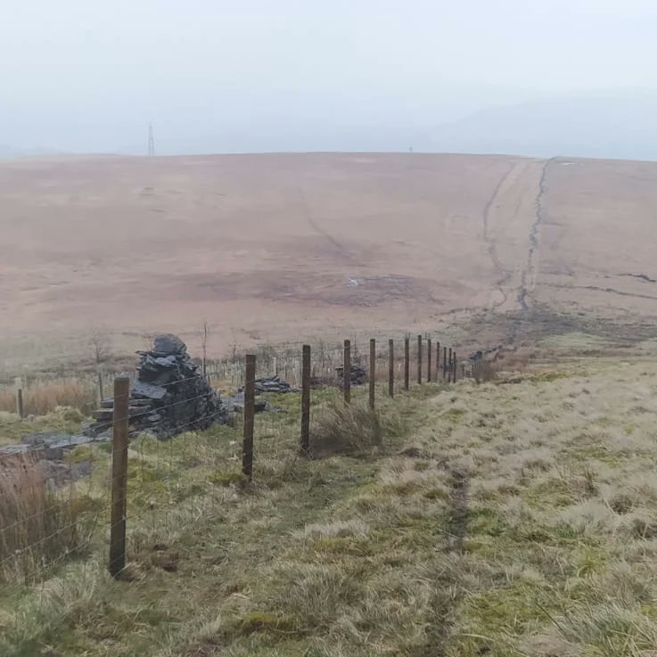 forus_tree's tweet image. Long day in the mist and rain replacing the vandalised fence up at Gorpley after someone thought it would be a great idea to rip out the previous fence and compromised the tree planting area. Sorted now, hopefully it will stay that way and keep the sheep out from now on. #Vandals