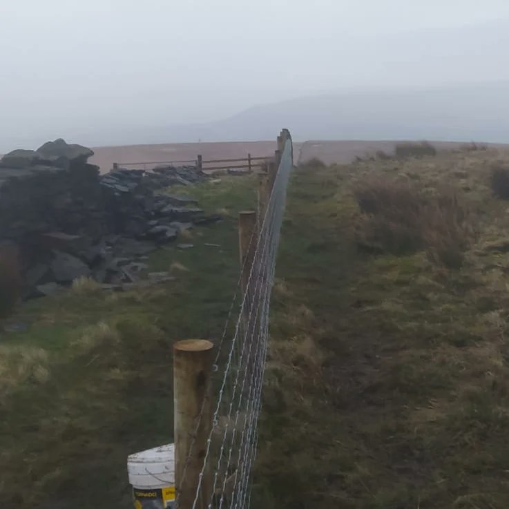 forus_tree's tweet image. Long day in the mist and rain replacing the vandalised fence up at Gorpley after someone thought it would be a great idea to rip out the previous fence and compromised the tree planting area. Sorted now, hopefully it will stay that way and keep the sheep out from now on. #Vandals