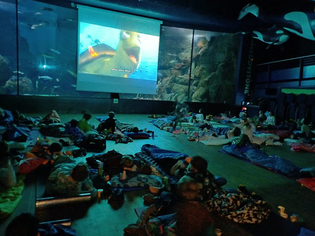 Bude Primary Academy - Juniors tweet media