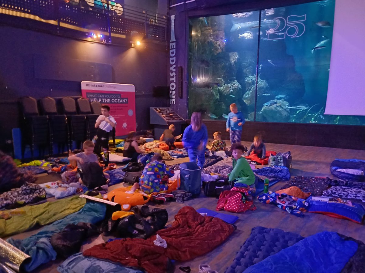 Bude Primary Academy - Juniors tweet media