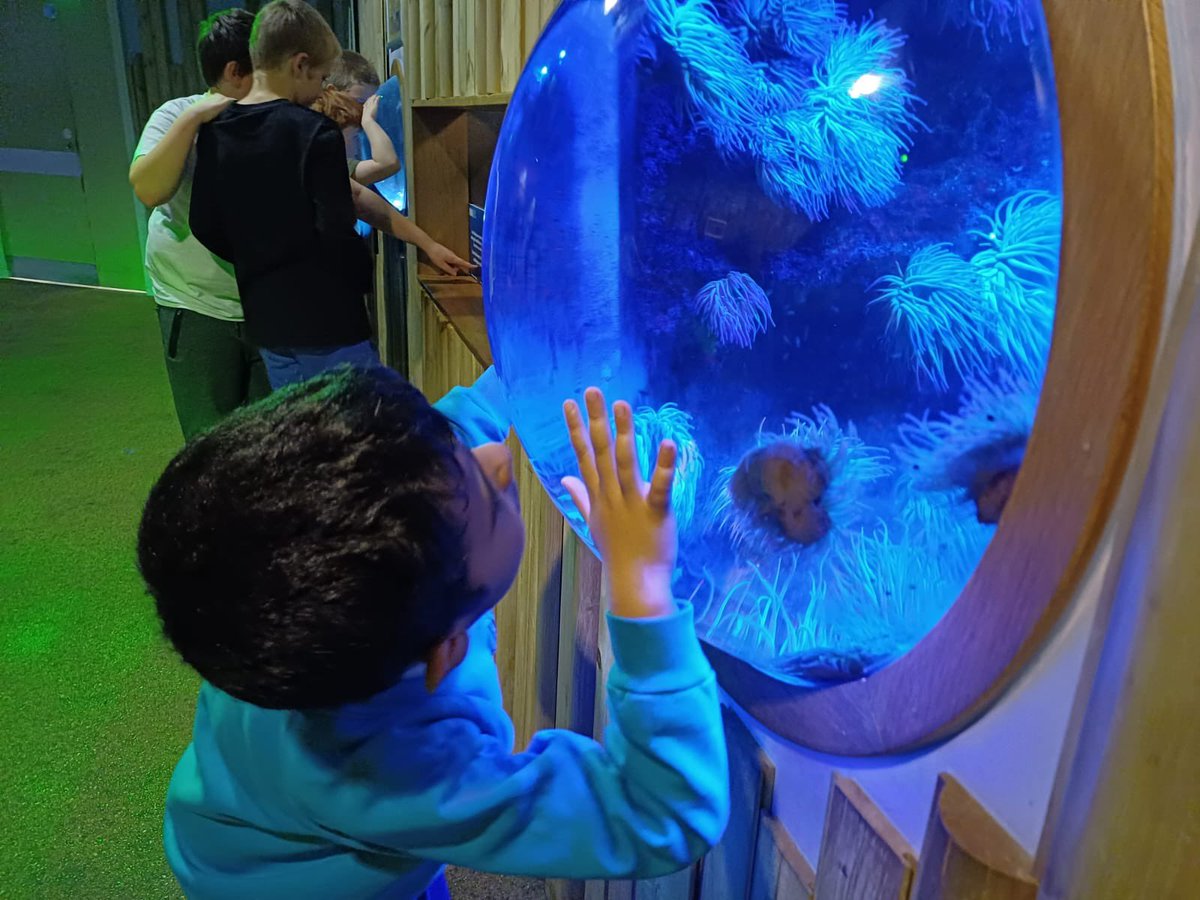 Bude Primary Academy - Juniors tweet media