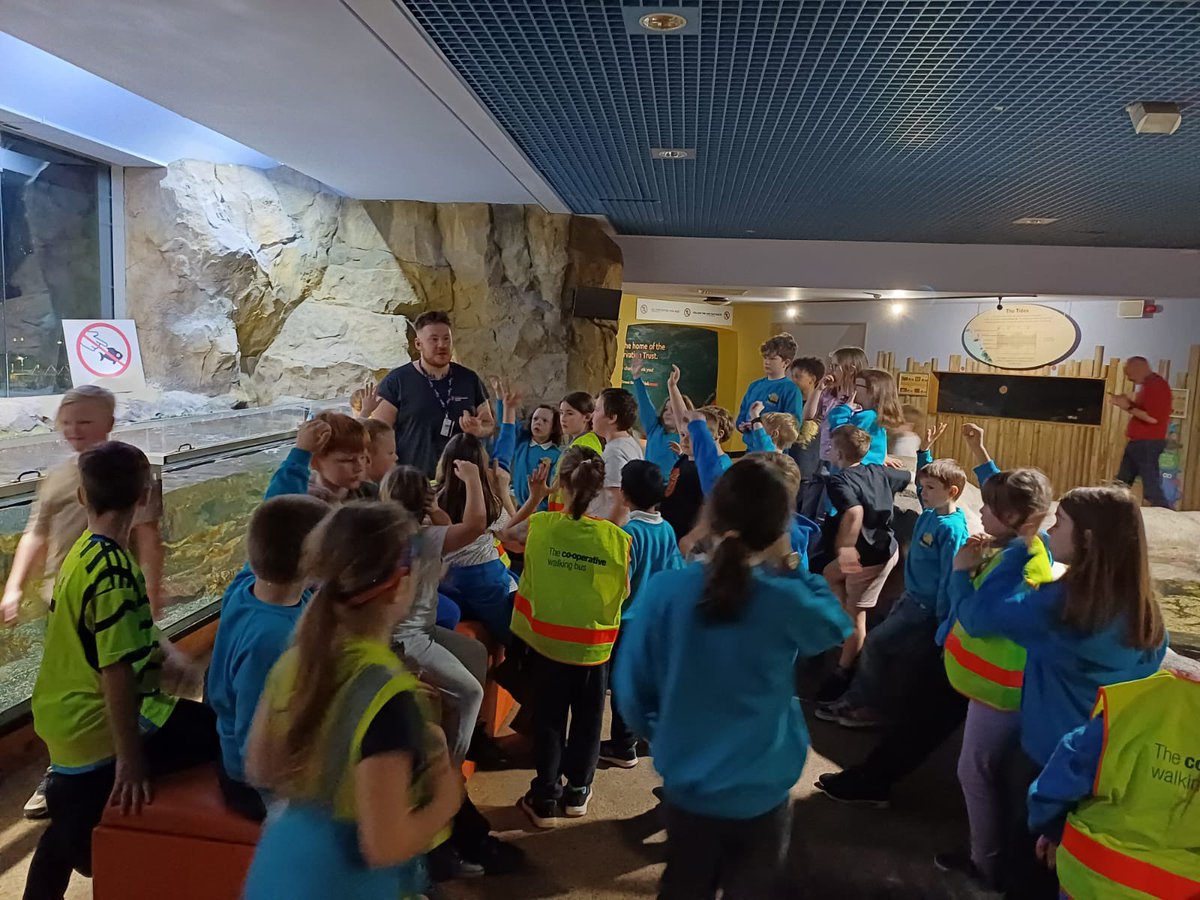 Bude Primary Academy - Juniors tweet media