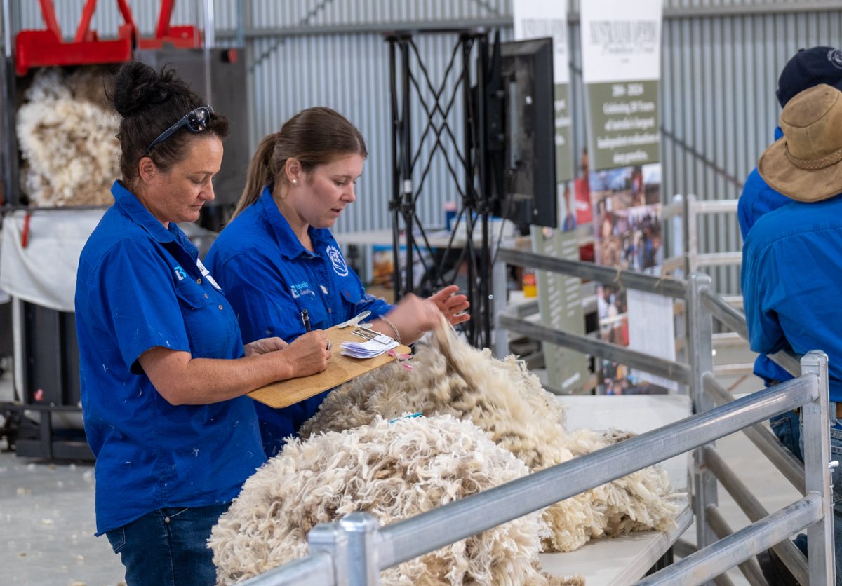 FUTURE OF FARMING: LESSONS FROM THE AUSTRALIAN MERINO PRODUCTION TRIAL Groundbreaking results at the Australian Merino Production Trial are shaping the future of Merino production practices. Read more in our article here: mosesandson.com.au/2024/03/19/fut… #AMPT #AgricultureInnovation