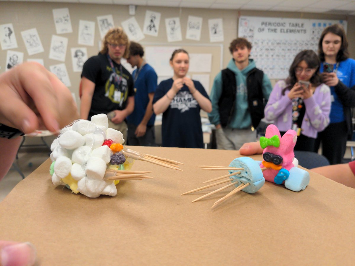 WVHS STEM ACADEMY tweet media