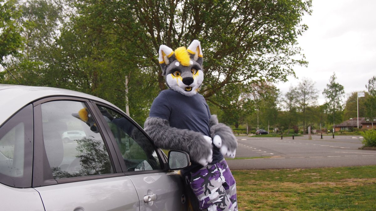 Spending the weekend cleaning up the cars and chilling after a busy few weeks all over the place. Hopefully the weather holds up...bit tired of all the rain. #FursuitFriday 🪡 @GoFurItstudios 📷 @EdisonTheFox