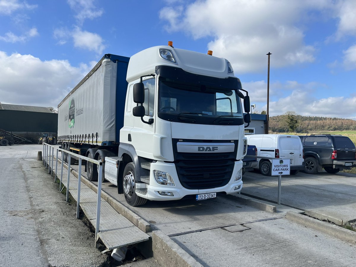 Peadar Whyte tweet media