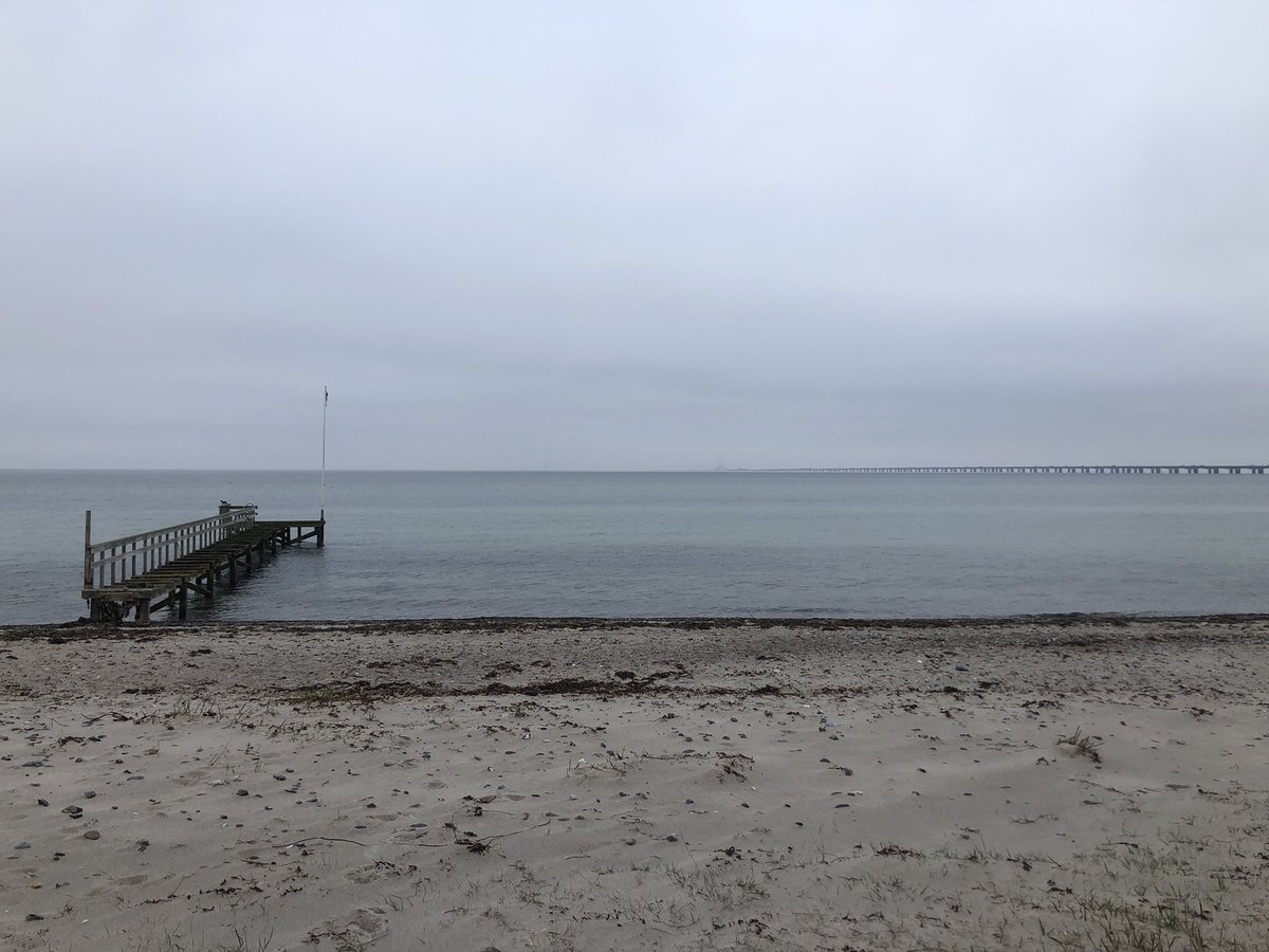 Happy and exhausted after the annual #DEVELOPNOID meeting! Great to see the progress and first results from 🧠 organoids from patients with schizophrenia🔬

<a href="/bmbSDU/">Department of Biochemistry and Molecular Biology</a> <a href="/lundbeckfonden/">Lundbeckfonden</a> <a href="/pia_jens/">Pia Jensen</a> <a href="/SisselSchmidt1/">Sissel Ida Schmidt</a> <a href="/MichaelBenros/">Michael E. Benros</a> <a href="/J_R_Brewer/">Jonathan Brewer</a>