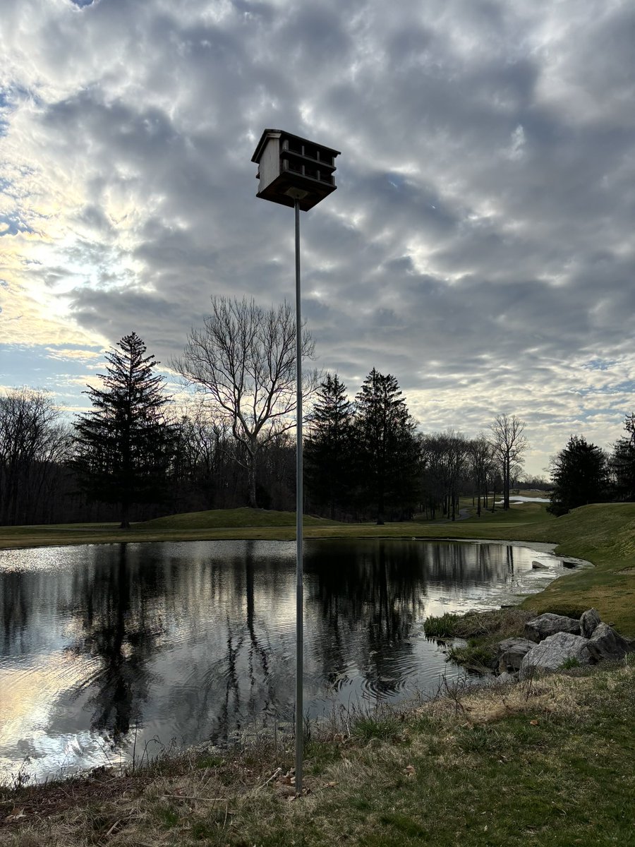 Jim Pavonetti, CGCS (@jim_pav) on Twitter photo Preparing for purple martin arrivals (hopefully). <a href="/AudubonIntl/">Audubon Int'l</a> <a href="/audubonsociety/">Audubon Society</a> #purplemartin #nestbox #golflife #turflife #habitat #fairview #greenwich Preparing for purple martin arrivals (hopefully). <a href="/AudubonIntl/">Audubon Int'l</a> <a href="/audubonsociety/">Audubon Society</a> #purplemartin #nestbox #golflife #turflife #habitat #fairview #greenwich
