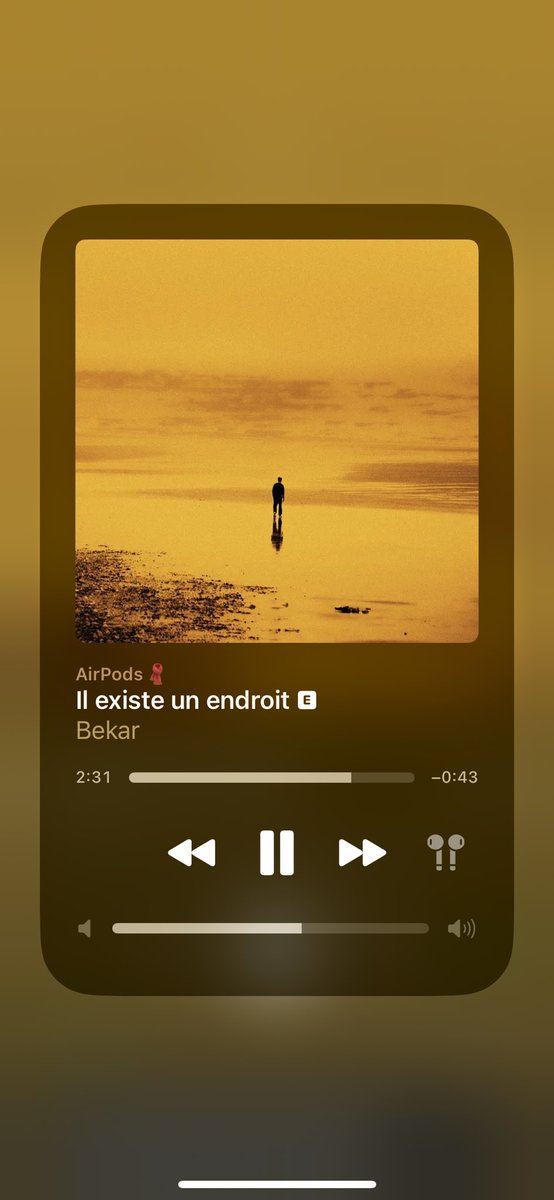 J’avais pas trop capté le délire de bekar de base genre j’écoutais quelques sons mais c’était pas mon kiffe de fou, je crois que son dernier album il m’a fait un déclic de zinzin ce type est monstrueux