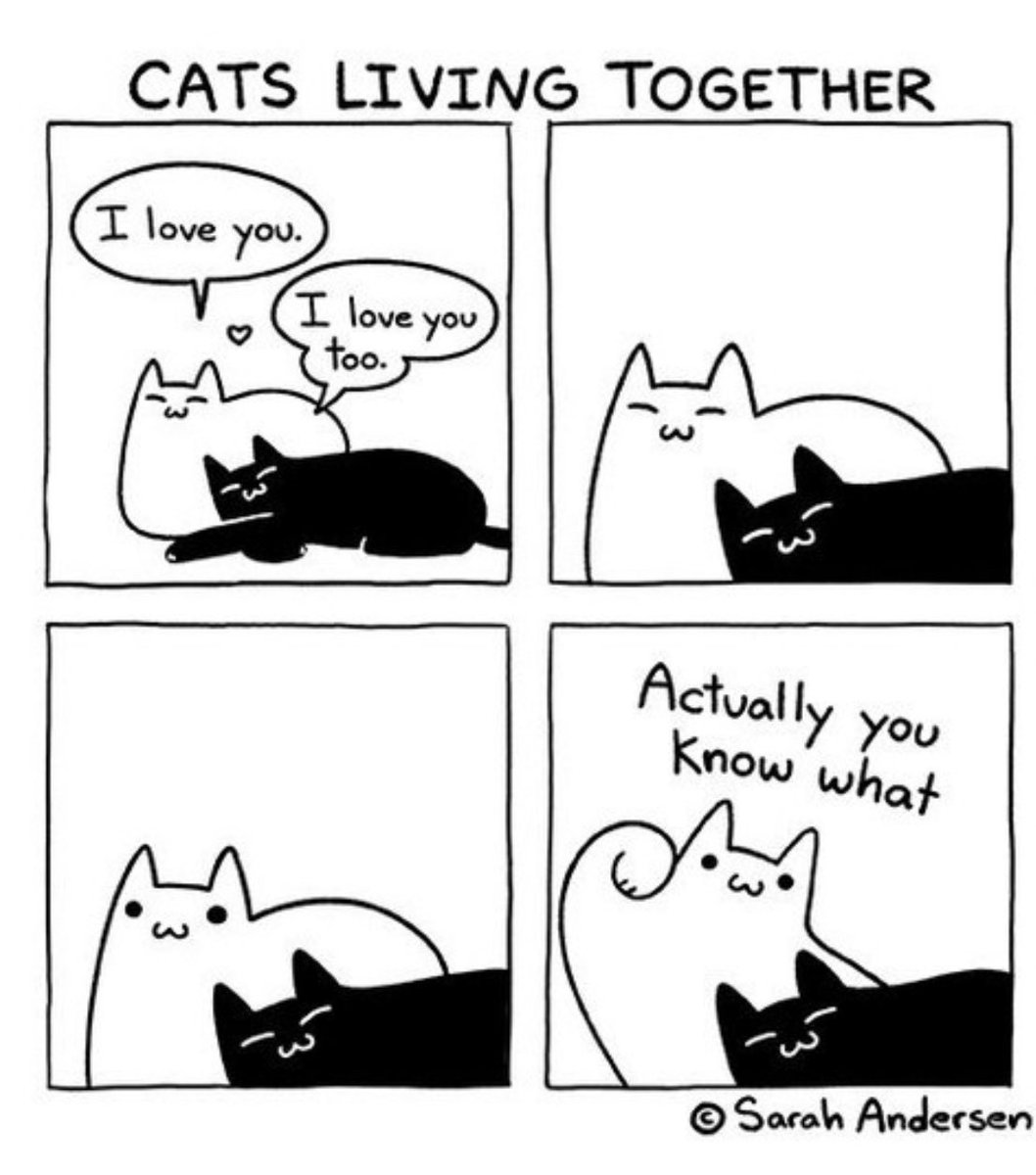 CathD85's tweet photo. I’m sure this comic is based on my cats 🤣 https://t.co/k0QEBwgqoh