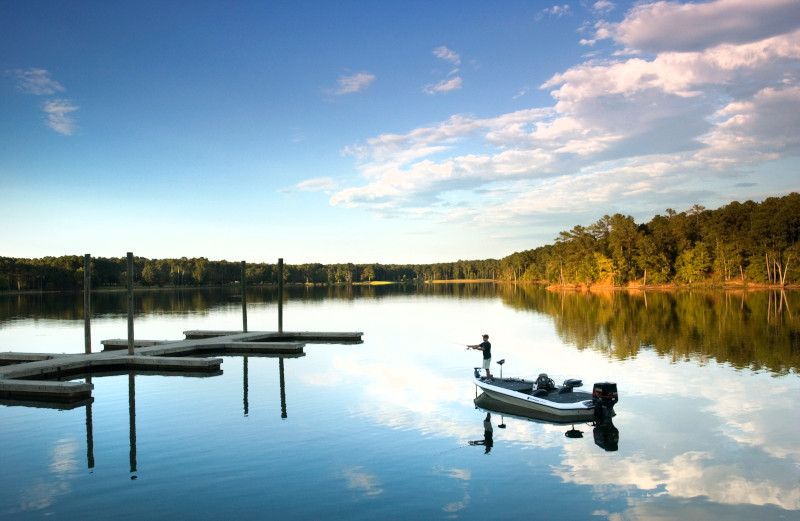 A perfect day in a South Carolina state park is easy to achieve. 🌳 Discover our state parks when you get your free copy of the 2024 Official South Carolina Vacation Guide! Request your copy here: brnw.ch/21wI6Be ⛰️ #DiscoverSC