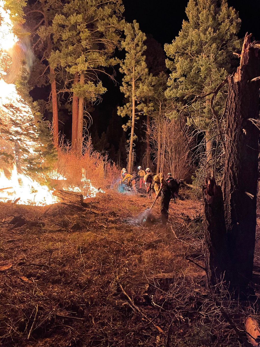 Matt Jarvis, Captain @lonepeakhotshots, advises new firefighters to approach the job with dedication and a positive mindset. Success in firefighting requires both physical and mental strength, as well as a willingness to learn from experienced colleagues. @utahfireinfo