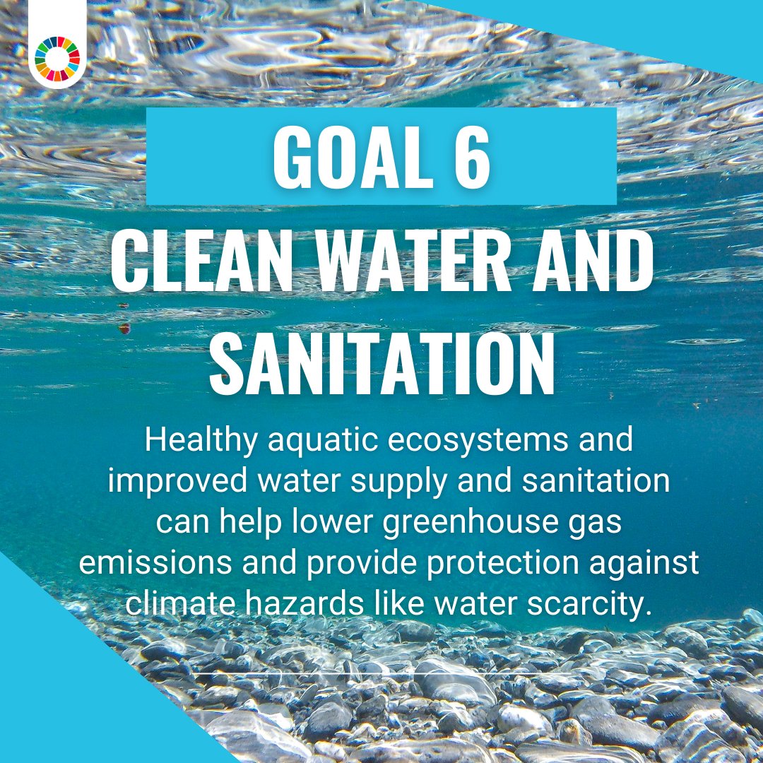 Protecting and restoring natural water ecosystems like rivers, wetlands, and lakes ensures the availability and sustainable management of water and sanitation for all. On #WorldWaterDay learn how you can contribute to the #GlobalGoals: globalgoals.org/goals/6-clean-…