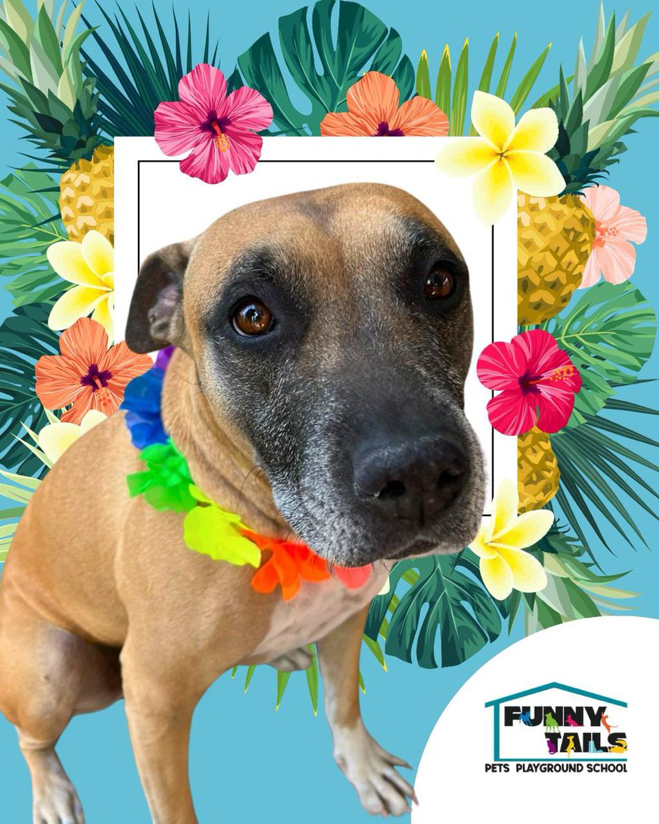 Les presumo la foto de mi niña que le tomaron en la guardería. Flores por el día de la primavera.