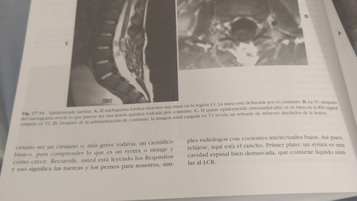 Correlacionandon't tweet media