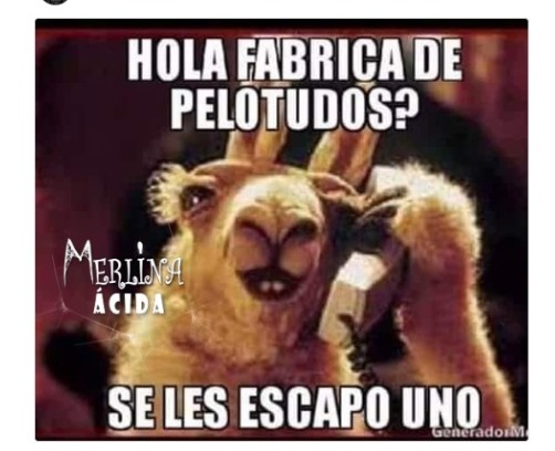 Carlos Pelli tweet media
