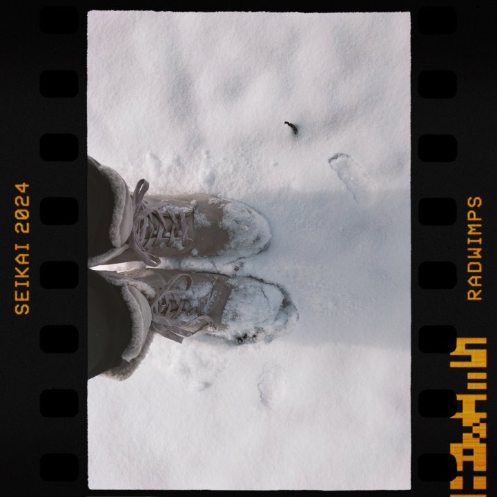 Snow in Canada
#radwimps
#seikai2024
#正解2024