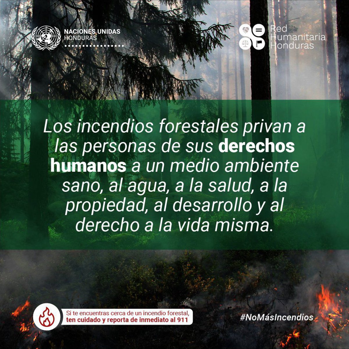 La protección de los bosques es nuestra responsabilidad, hoy y siempre. Segun el @ICFHonduras, 🇭🇳 ha registrado 685 incendios hasta el 20 de marzo de este año, una cifra alarmante que tenemos que detener. Reportemos todo acto que arriesgue nuestros bosques. #NoMásIncendios