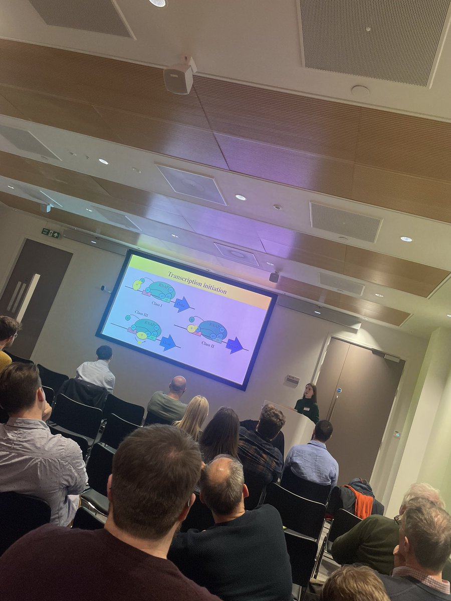 XenosInScience's tweet image. Had a lovely time presenting my research at the 35th RNAP workshop this week with @GraingerLab! Thanks @AchillesKap to organise it in @KavliOxford