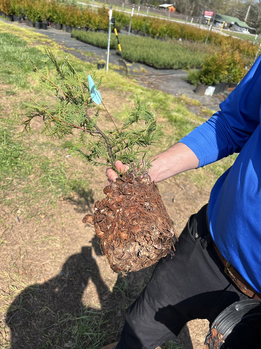 Dr. Pollard tweet media