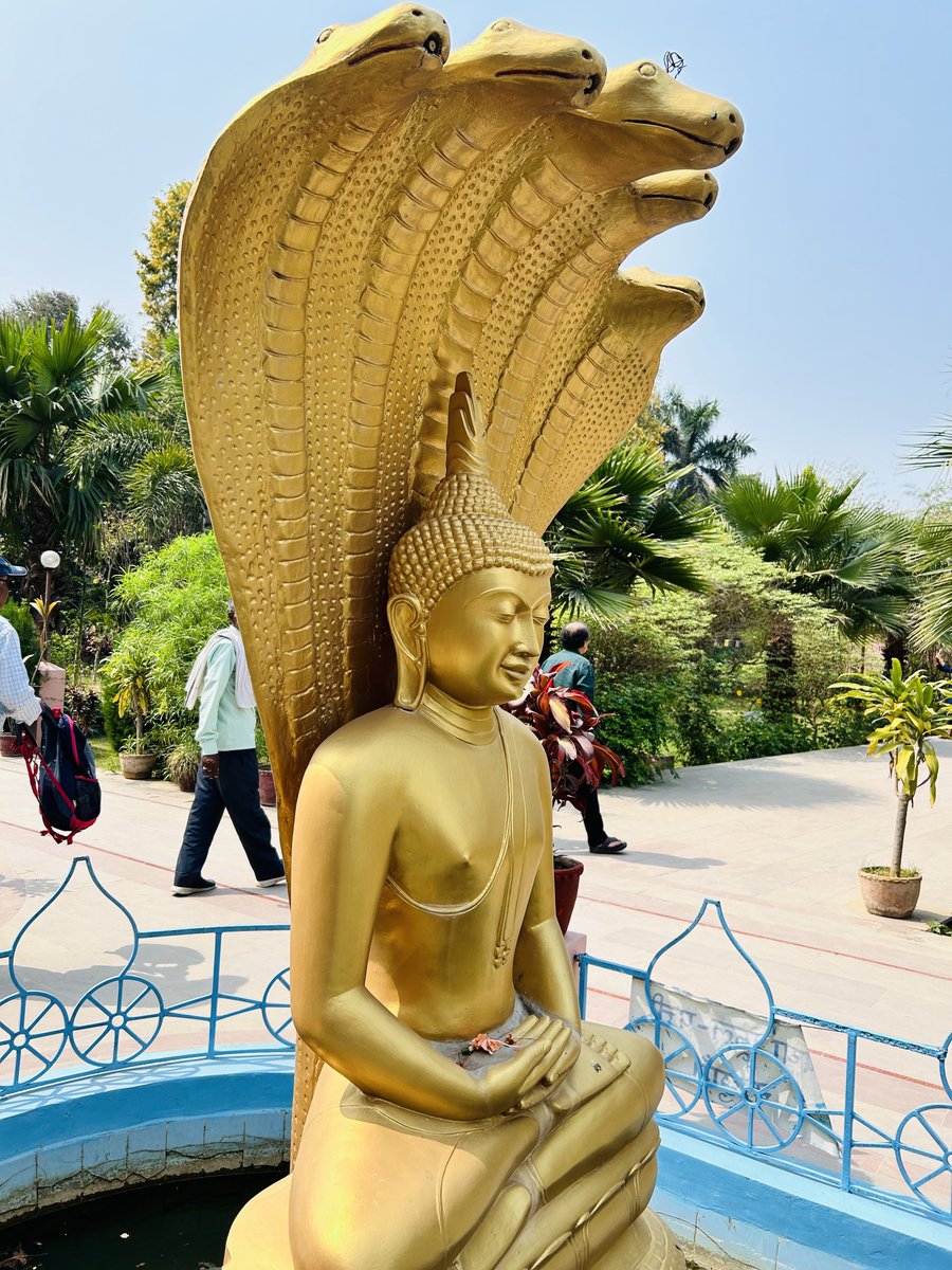 Good morning with my click (Sarnath Temple) . . #Sarnath #GoodMorning #ShwetaJayaTravelVlog #SarnathTemple