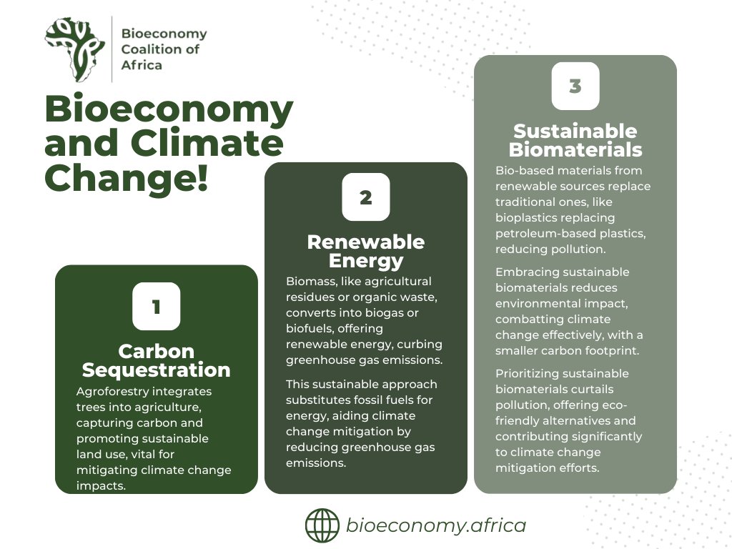 In a warming world, the #bioeconomy offers solutions to #mitigate climate effects: #carbon_sequestration, #biomaterials production replacing fossil derived plastics among others.