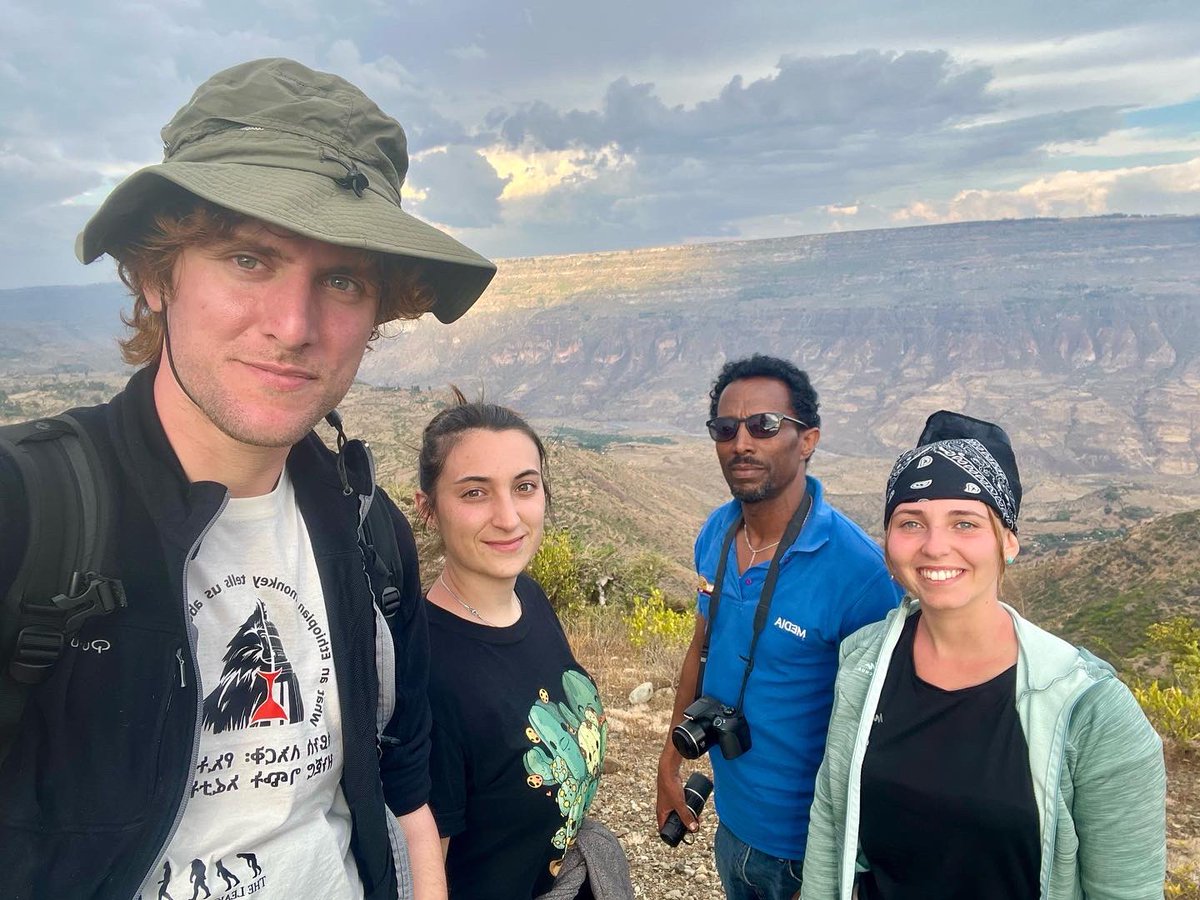 Geladas_for_Cooperation tweet media