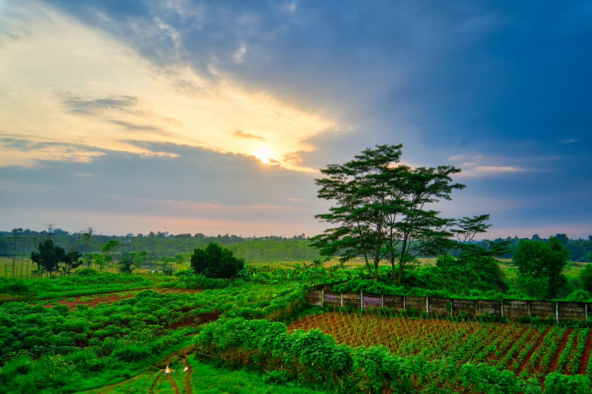 How do MSME #valuechains help households and farms address impacts of #climatechange? Join the webinar on 📅 March 26 🕘 9am EDT by @CGIAR research initiative #RethinkingFoodMarkets. 👉 Register here: on.cgiar.org/3Piz4ek