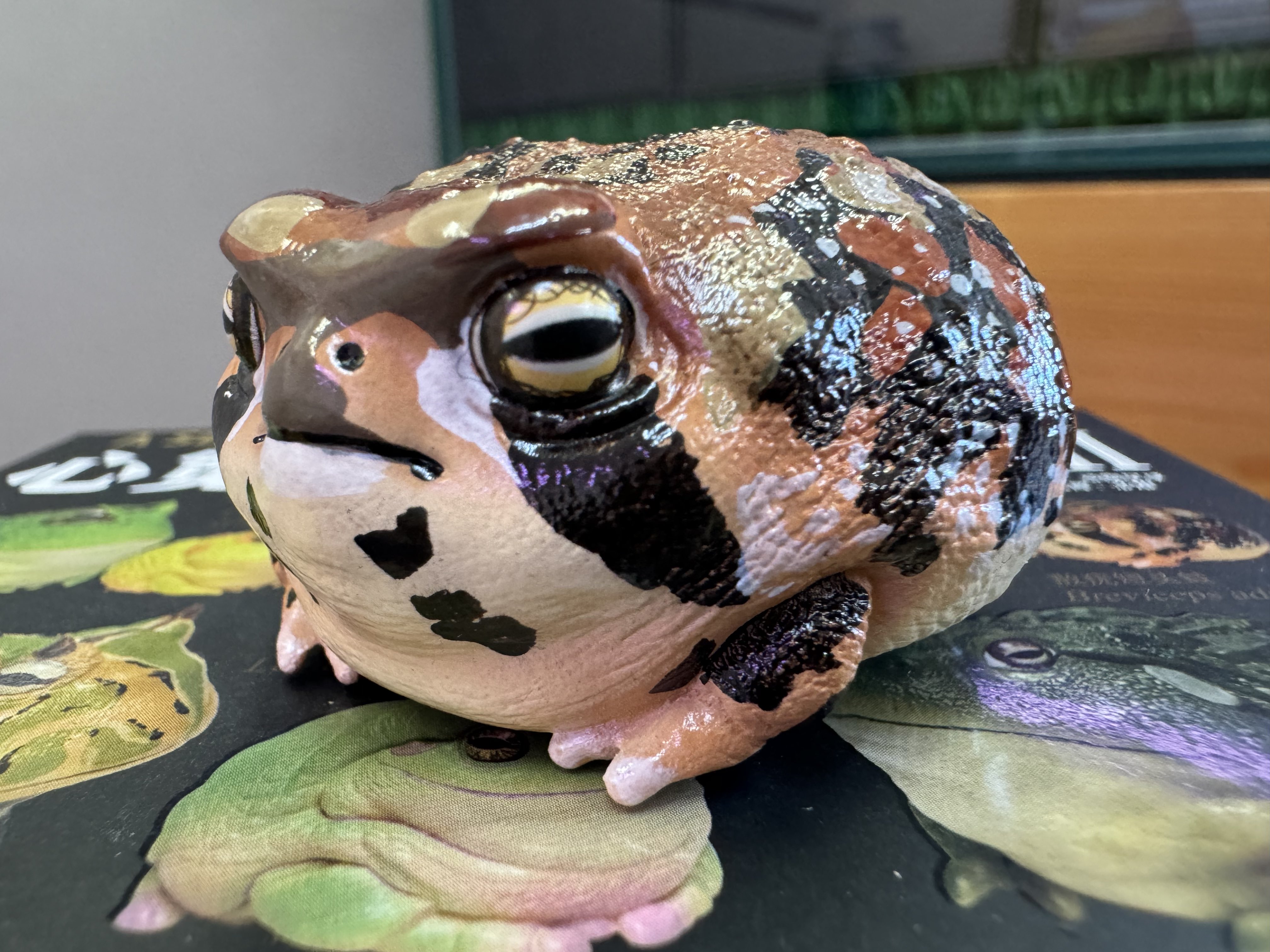 動物の惑星】☆ジオラマ第5弾_アジアヒキガエル!! フィギュア