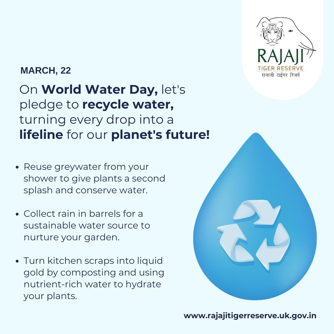 On World Water Day, let's pledge to recycle water, turning every drop into a lifeline for our planet's future! #worldwaterday2024 #rajajitigerreserve