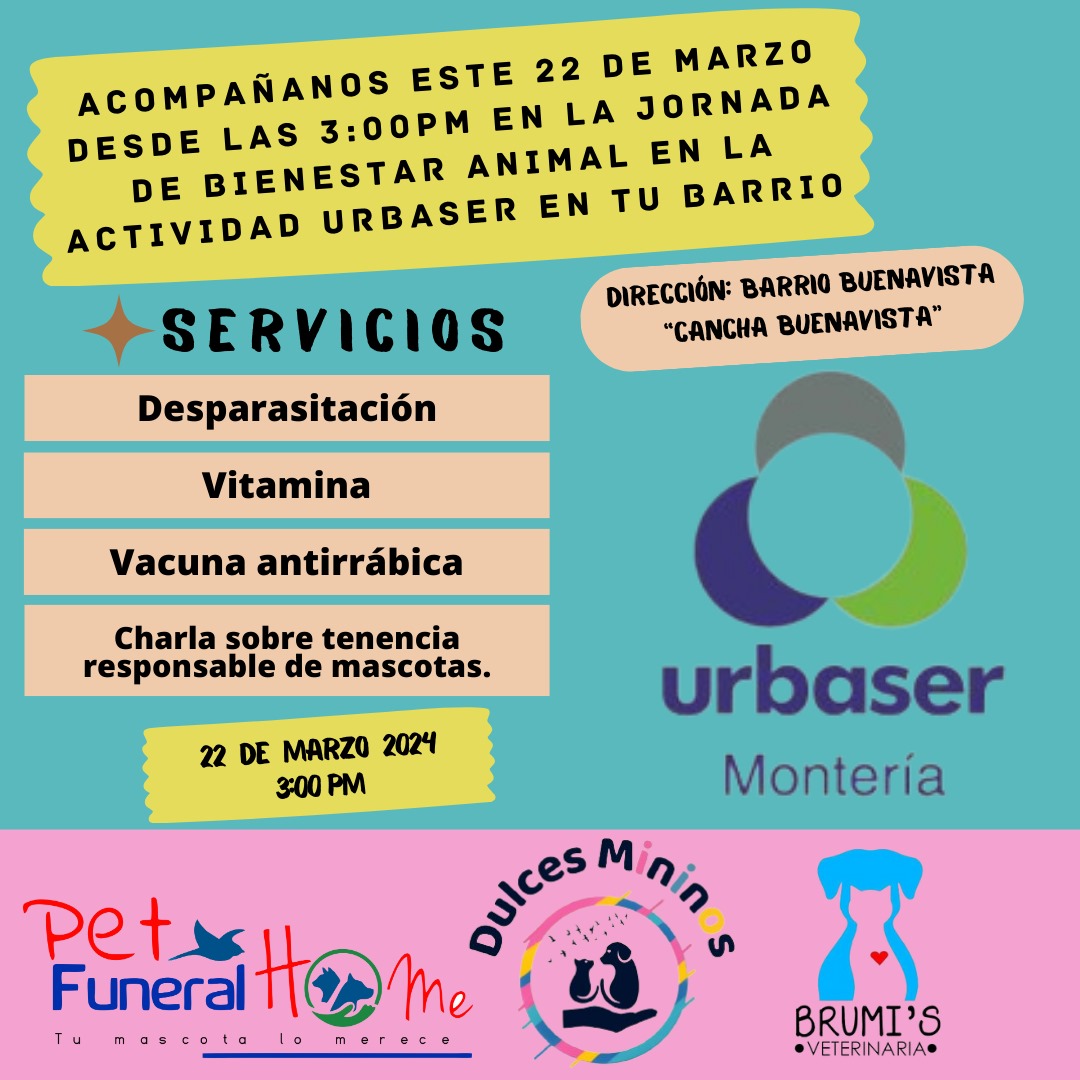 Barraza Stefy 🐾🐶🐾🐱🐾💜 (@barraza_e_19) on Twitter photo Ven acompáñanos!!!
🐾🐕🐈🙏💜
Recuerda el Bienestar animal es responsabilidad de todos!!
<a href="/BNova53/">Boris Nova</a> <a href="/ArmandoSevillaT/">ArmandoSevillaTobio</a> <a href="/CarlosPElCholo/">Carlos Peña</a> <a href="/CazaNoticias11/">CazaNoticias</a> <a href="/oscarrodril01/">Oscar Rodriguez</a> <a href="/mauromonserrate/">mauricio escobar m</a> <a href="/elinformanteCor/">EL INFORMÁNTE CÓRDOBA 👁️🕵🏼♂️</a> <a href="/info_mtr/">InfoMtr</a> <a href="/GildelaCruzB/">Gil de la Cruz</a> <a href="/DiaAnimales/">Al Día Con Los Animales 🐾</a> <a href="/UrbaserMonteria/">Urbaser Montería</a> Ven acompáñanos!!!
🐾🐕🐈🙏💜
Recuerda el Bienestar animal es responsabilidad de todos!!
<a href="/BNova53/">Boris Nova</a> <a href="/ArmandoSevillaT/">ArmandoSevillaTobio</a> <a href="/CarlosPElCholo/">Carlos Peña</a> <a href="/CazaNoticias11/">CazaNoticias</a> <a href="/oscarrodril01/">Oscar Rodriguez</a> <a href="/mauromonserrate/">mauricio escobar m</a> <a href="/elinformanteCor/">EL INFORMÁNTE CÓRDOBA 👁️🕵🏼♂️</a> <a href="/info_mtr/">InfoMtr</a> <a href="/GildelaCruzB/">Gil de la Cruz</a> <a href="/DiaAnimales/">Al Día Con Los Animales 🐾</a> <a href="/UrbaserMonteria/">Urbaser Montería</a>