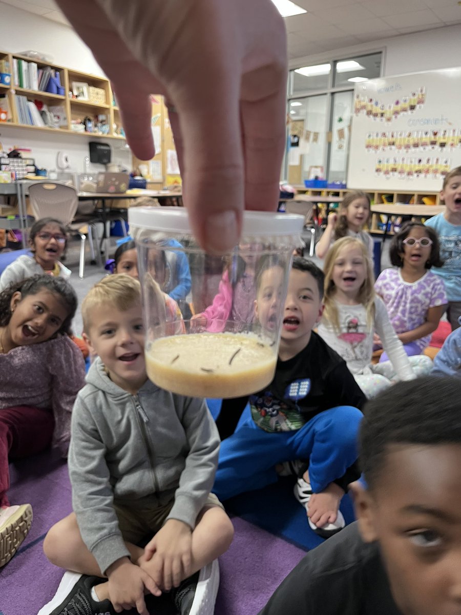 We are so excited to watch our caterpillars grow into beautiful butterflies! 🐛 🦋 #bengalpride