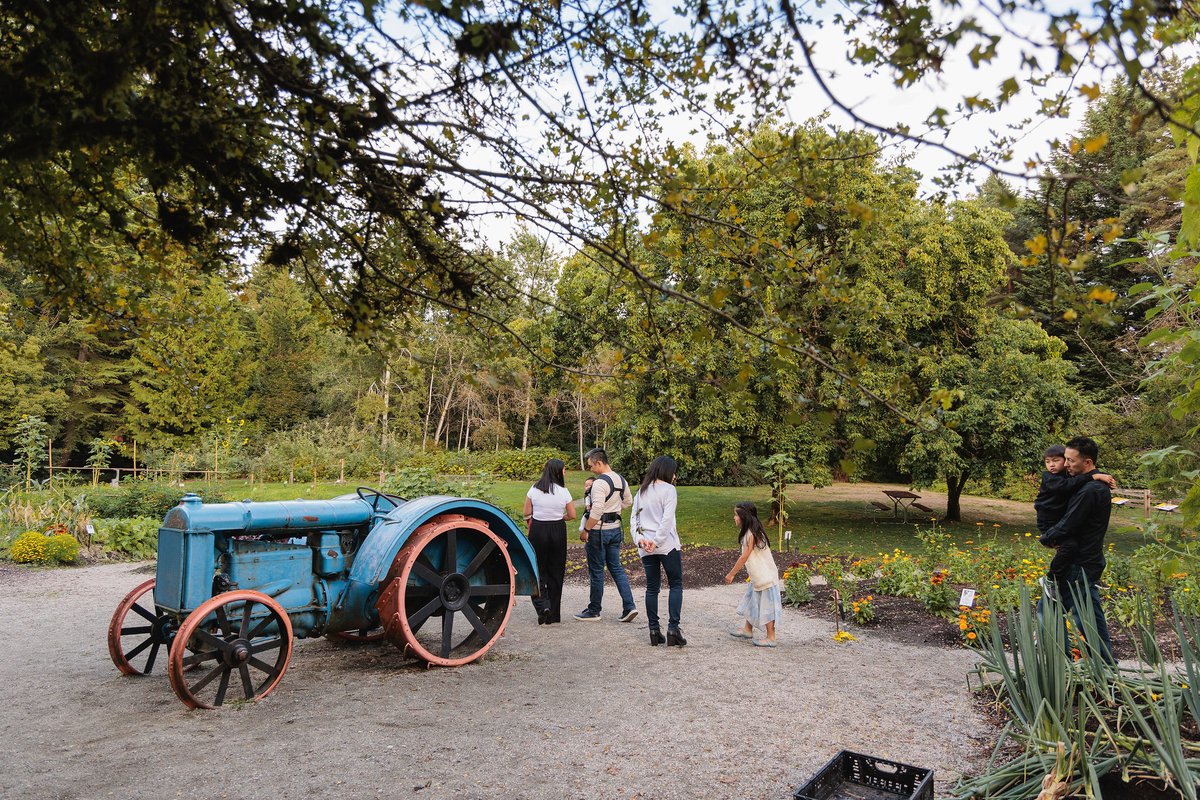 ⚠️ NOTICE: The Vegetable Garden is closed for construction. Visitors can access the surrounding areas such as the Medicine Wheel, Beehives, and Meadow Pond through alternative paths. The maze will remain open!