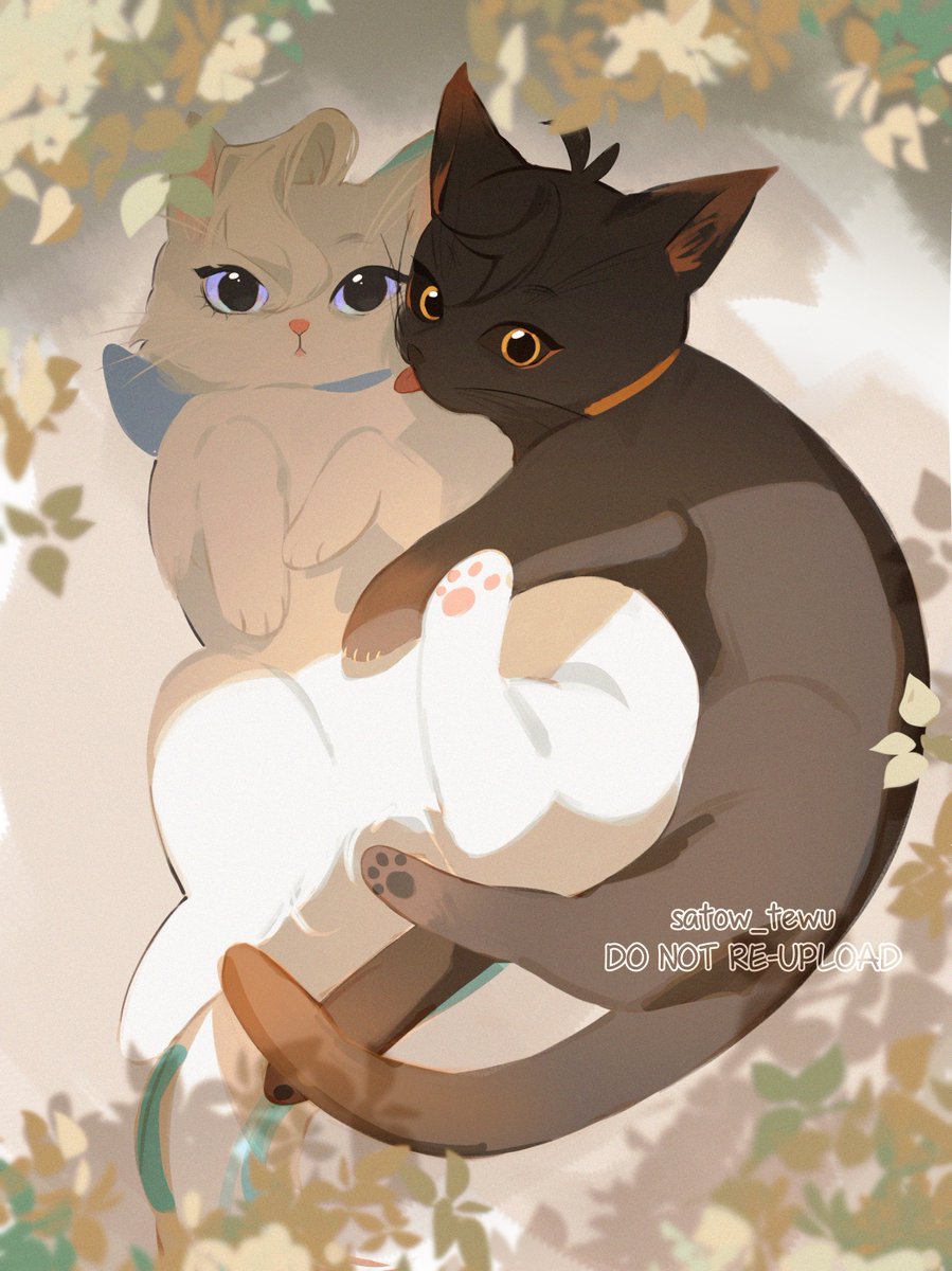 satow_tewu's tweet photo. nyan!!
#neuvili #Zhongli #Neuvillette https://t.co/bLKRM8r4E2