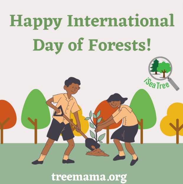 TreeMamaSEA's tweet image. Celebrate today - and all the forests of our children&apos;s future - by downloading #iSeaTree and making your first tree entry today! #InternationalDayofForests #SaveTheForests #ForestryDay #ForestDay #forestday2024 
treemama.org/the-tech-treeh…