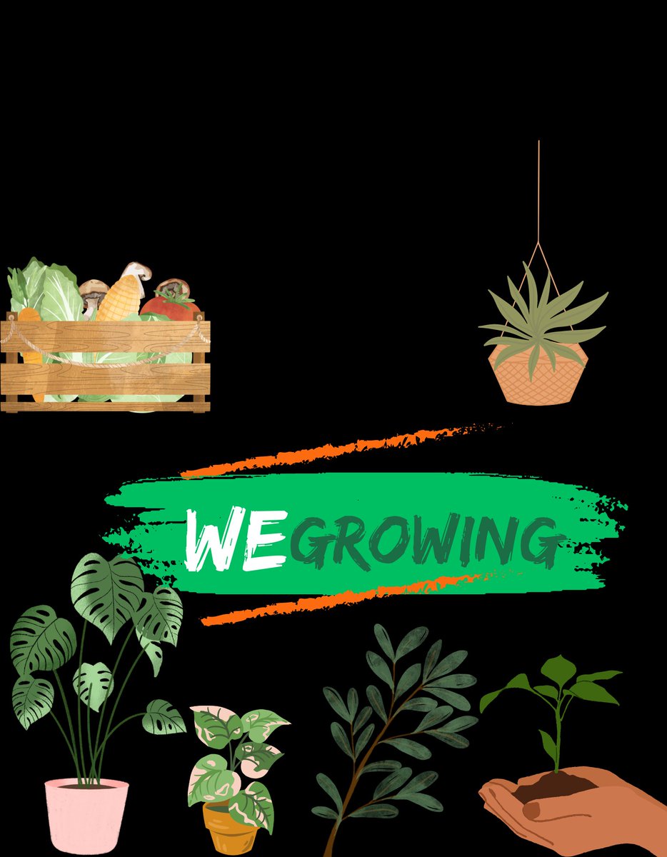 PreciousMelodie's tweet photo. #WeGrowing ✌🏾🫶🏾✊🏾 https://t.co/bZJJzqyOm9