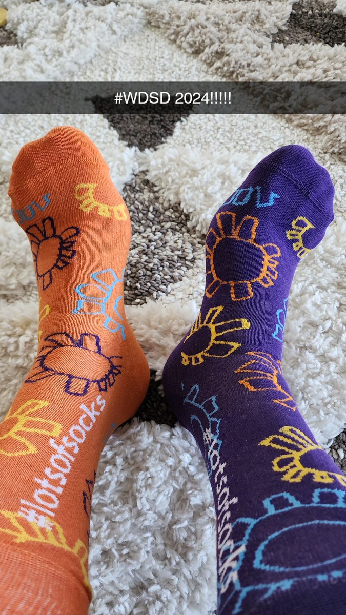 jerdeken's tweet photo. #wdsd #ndss #WDSD2024 https://t.co/hz2F78XsdN