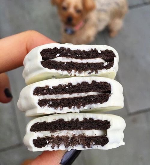 capturedegula's tweet photo. te amo oreos bañadas https://t.co/CVsR2pBiRA
