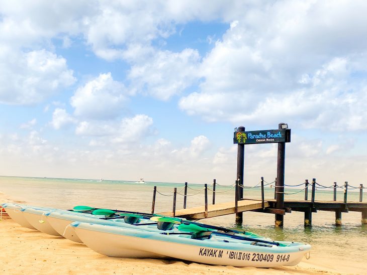 Wendy Wright tweet media