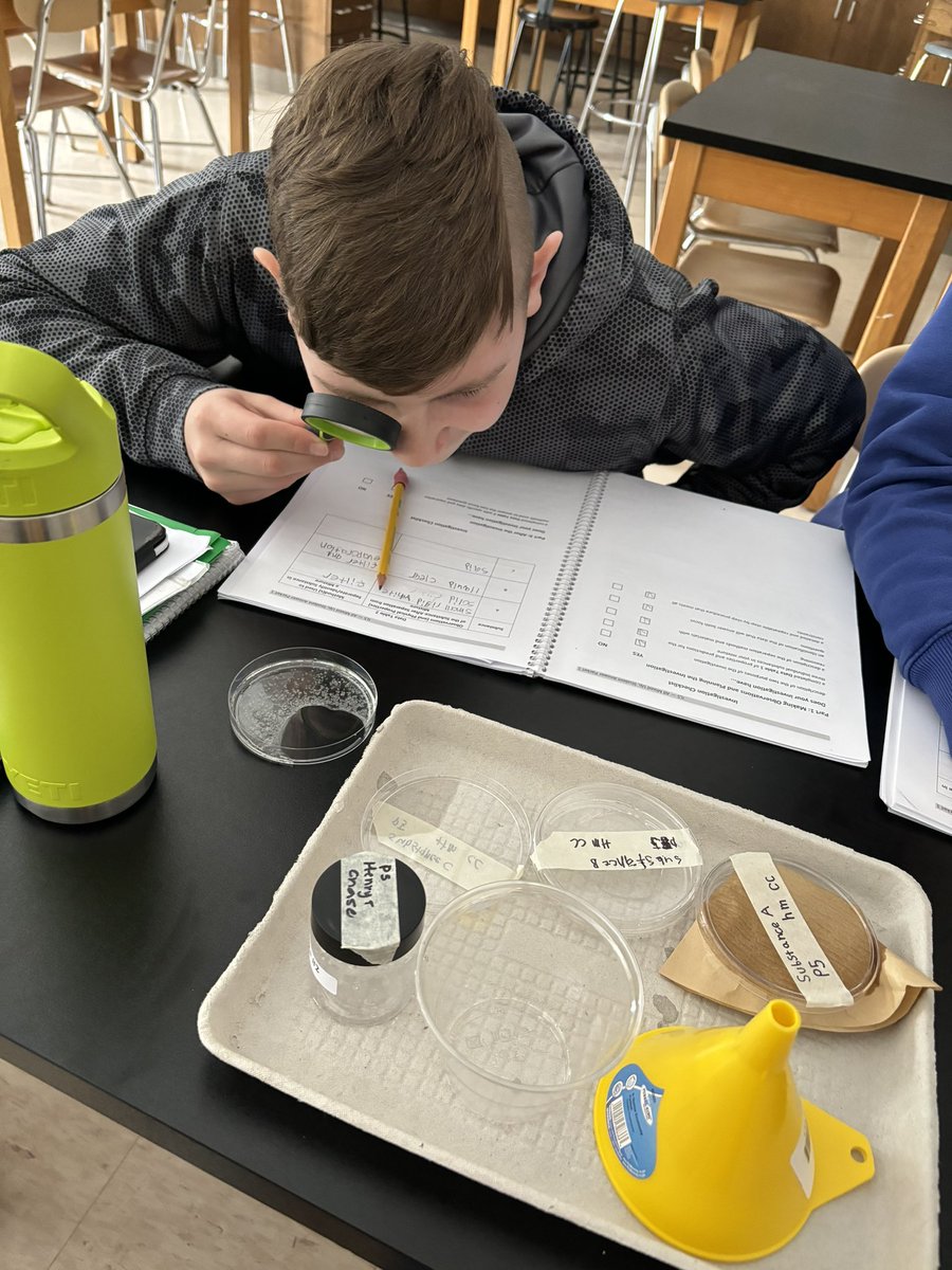 Maya Amico tweet media