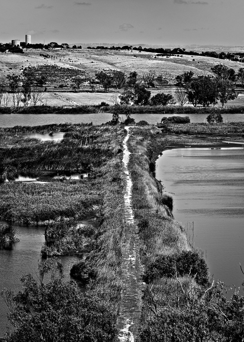 csdock's tweet image. Murray Path