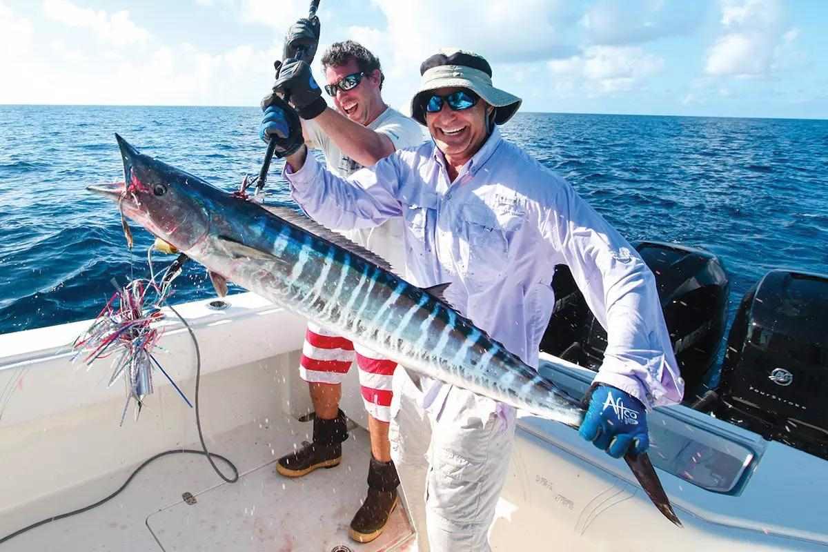 Short of possibly a blue marlin, we're not sure any fish creates more panic in the crew of a bluewater fishing boat than a stout wahoo! 🚀 floridasportsman.com/editorial/cons… #floridasportsman #floridafishing #wahoo #offshore #saltwater #bluewater #floridalife #coastal #wahoofishing