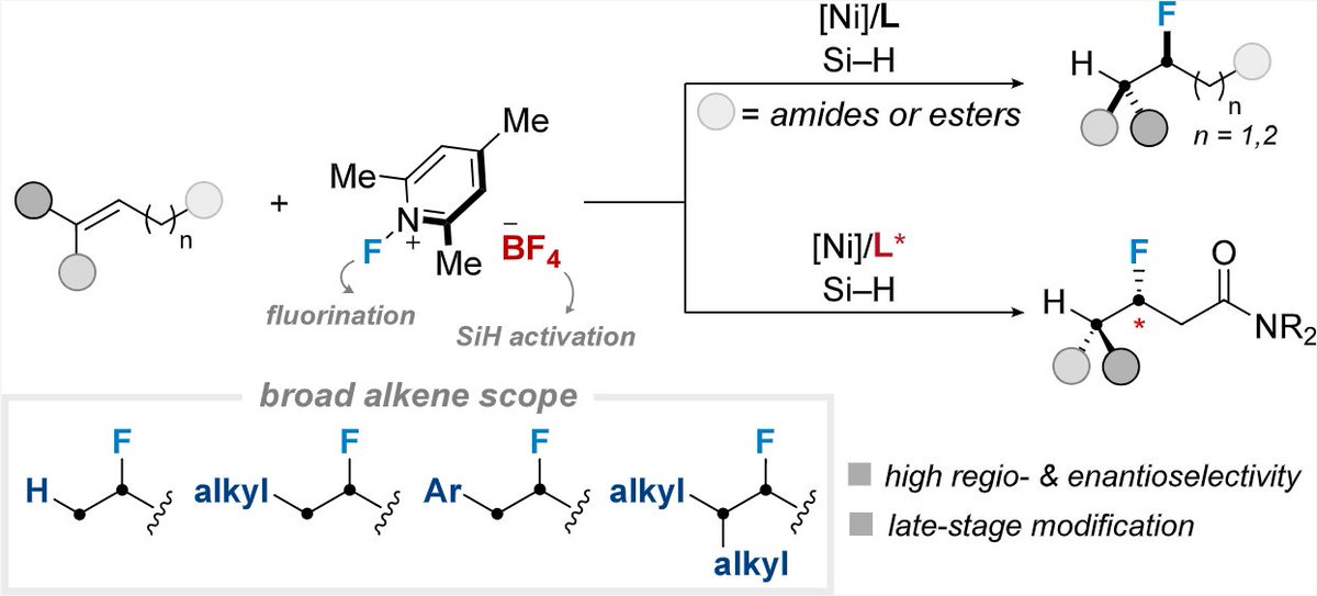 Hong Group (Medisyn Lab) (@medisyn_kaist) on Twitter photo "Nickel-Catalyzed Hydrofluorination in Unactivated Alkenes: Regio- and Enantioselective C–F Bond Formation" is published in <a href="/J_A_C_S/">J. Am. Chem. Soc.</a> !!!
doi.org/10.1021/jacs.4… "Nickel-Catalyzed Hydrofluorination in Unactivated Alkenes: Regio- and Enantioselective C–F Bond Formation" is published in <a href="/J_A_C_S/">J. Am. Chem. Soc.</a> !!!
doi.org/10.1021/jacs.4…