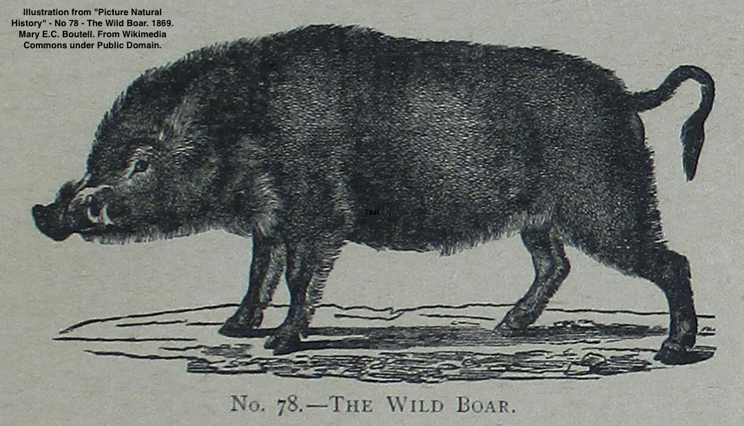 Dr. Chloe Josefson tweet media