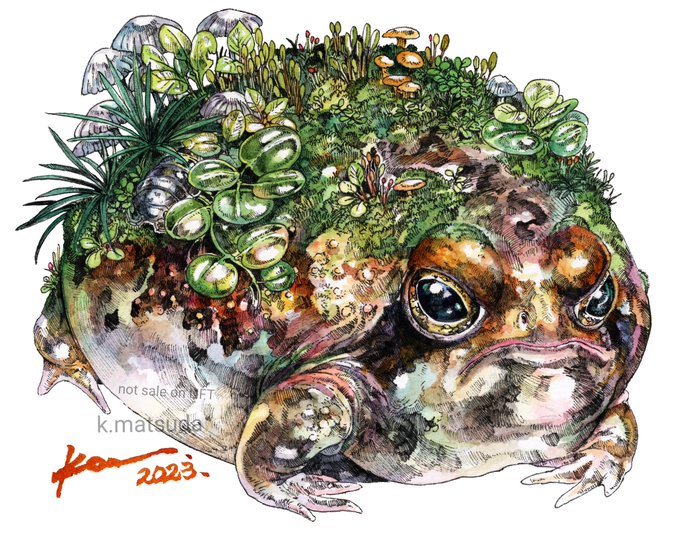 「カエル」 illustration images(Latest))